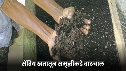 Organic Manure 