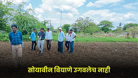 Agriculture