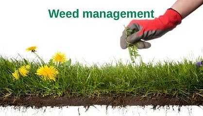 Weed Management