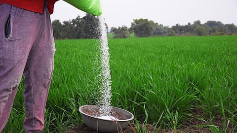 Fertilizer Price