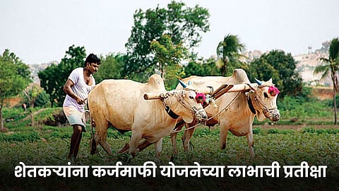Indian Farmer