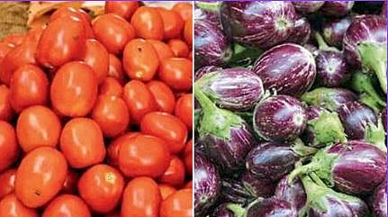 Tomato and Brinjal