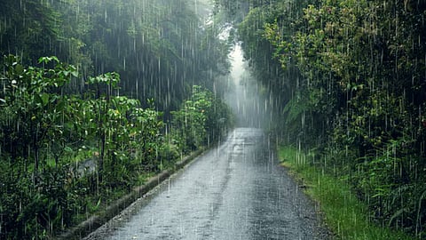 Rain