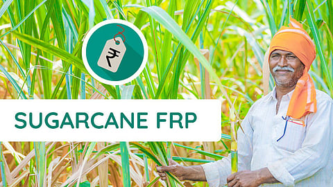 Sugarcane FRP