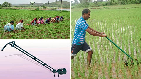 Weed Control in Agriculture