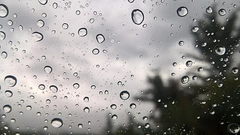 Rain