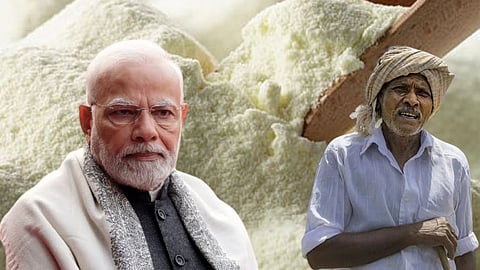 Milk Powder