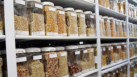 Seed Bank