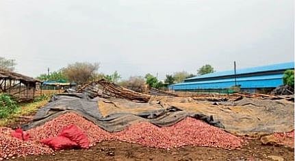 Crop Damage
