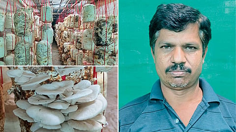 Ramchandra Gawde and Mushroom Production