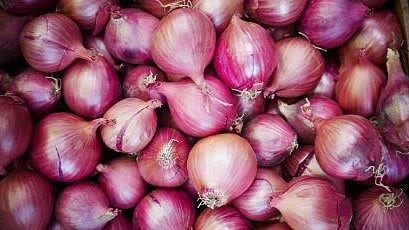 Onion