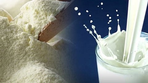 Milk Powder Import