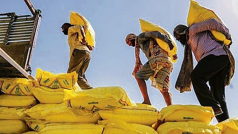 Kolhapur Fertilizer Shortage