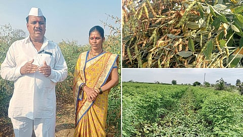 Sanjay Sonba Potre and Tur Farming