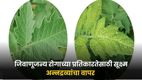 Micronutrients Use