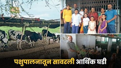Animal Husbandry