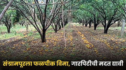 Farmer Issue