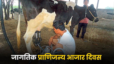 World Animal Disease Day