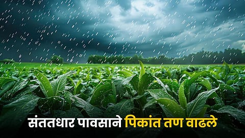 Crop Issue