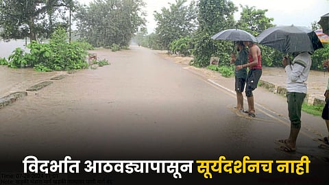 Monsoon Rain