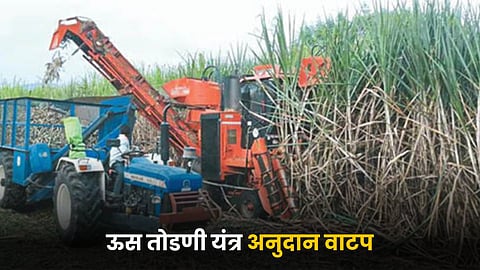 Sugarcane Cutting Machine