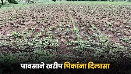 Kharif Crop