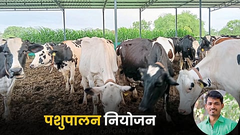 Animal Husbandry