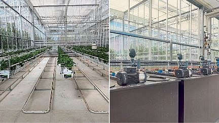 Glasshouse