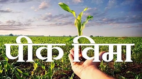 Crop Insurance