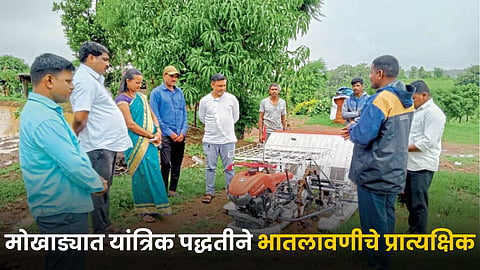 Paddy Farming Demonstration