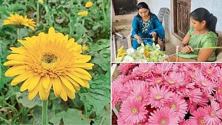 Swati Kindre and Flower Farming 