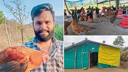 Poultry Farming