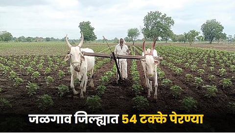 Agriculture Sowing