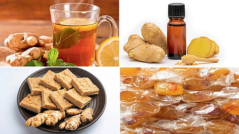 Ginger Food Processing 