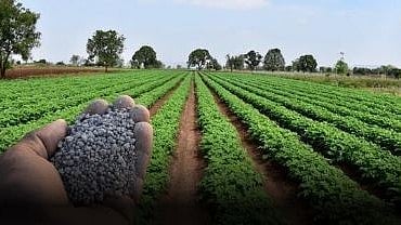 Fertilizers