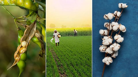 Indian Agriculture