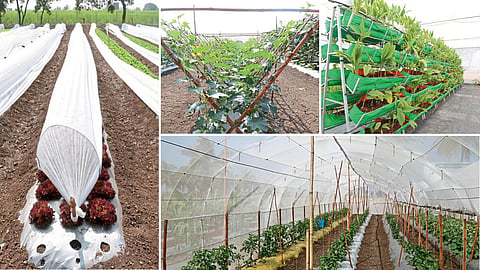 Agriculture Technology