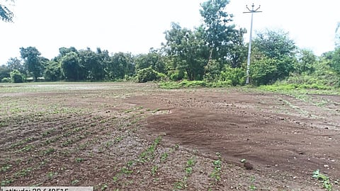 Crop Damage 
