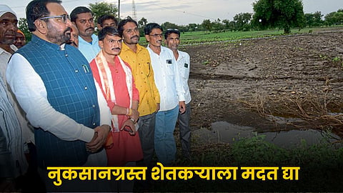 Crop Damage