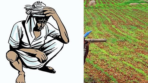 Farmer Issue 