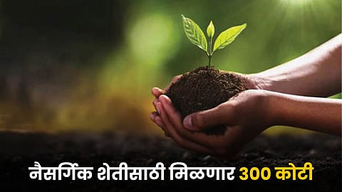 Natural Agriculture