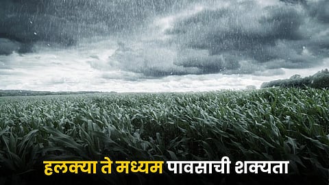Monsoon