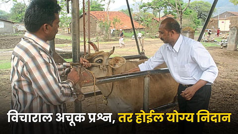 Animal Care
