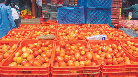 Tomato Rate