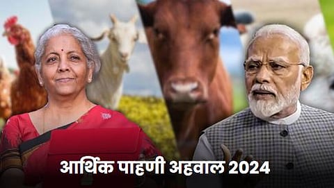 Economic Survey 2024