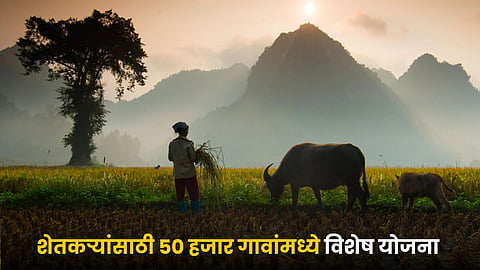 Farmer Scheme