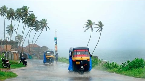 Monsoon Rain