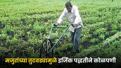 Agriculture Method