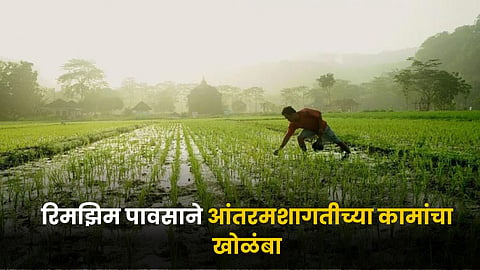 Agriculture