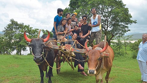 Agriculture Tourism 